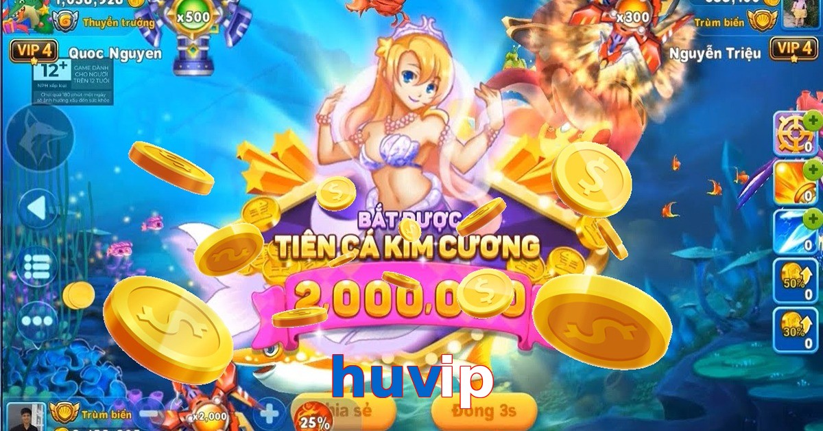 huvip