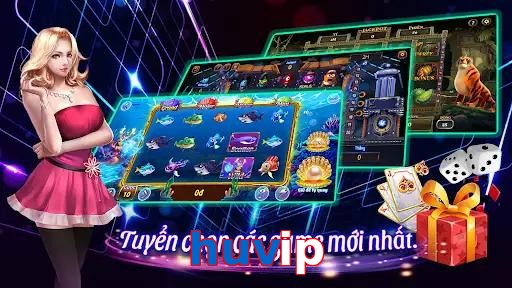 huvip