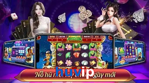 huvip
