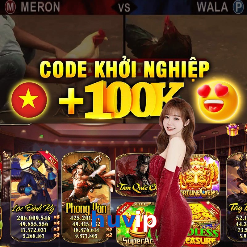 huvip